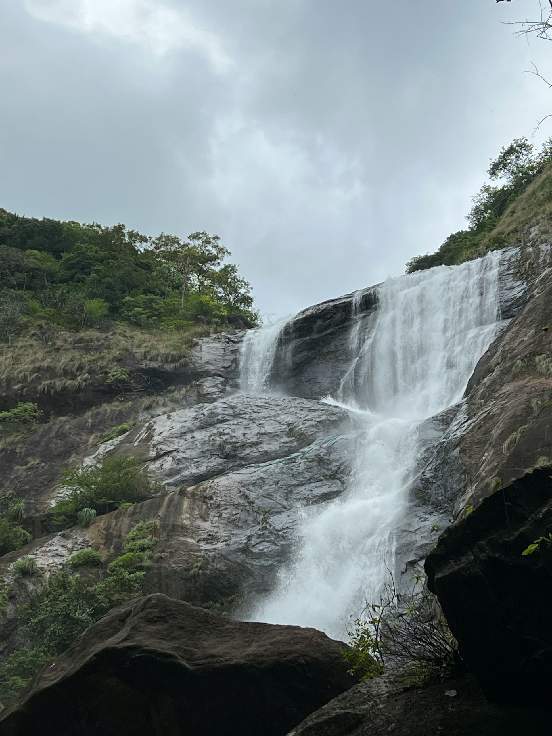 Nature Experiences