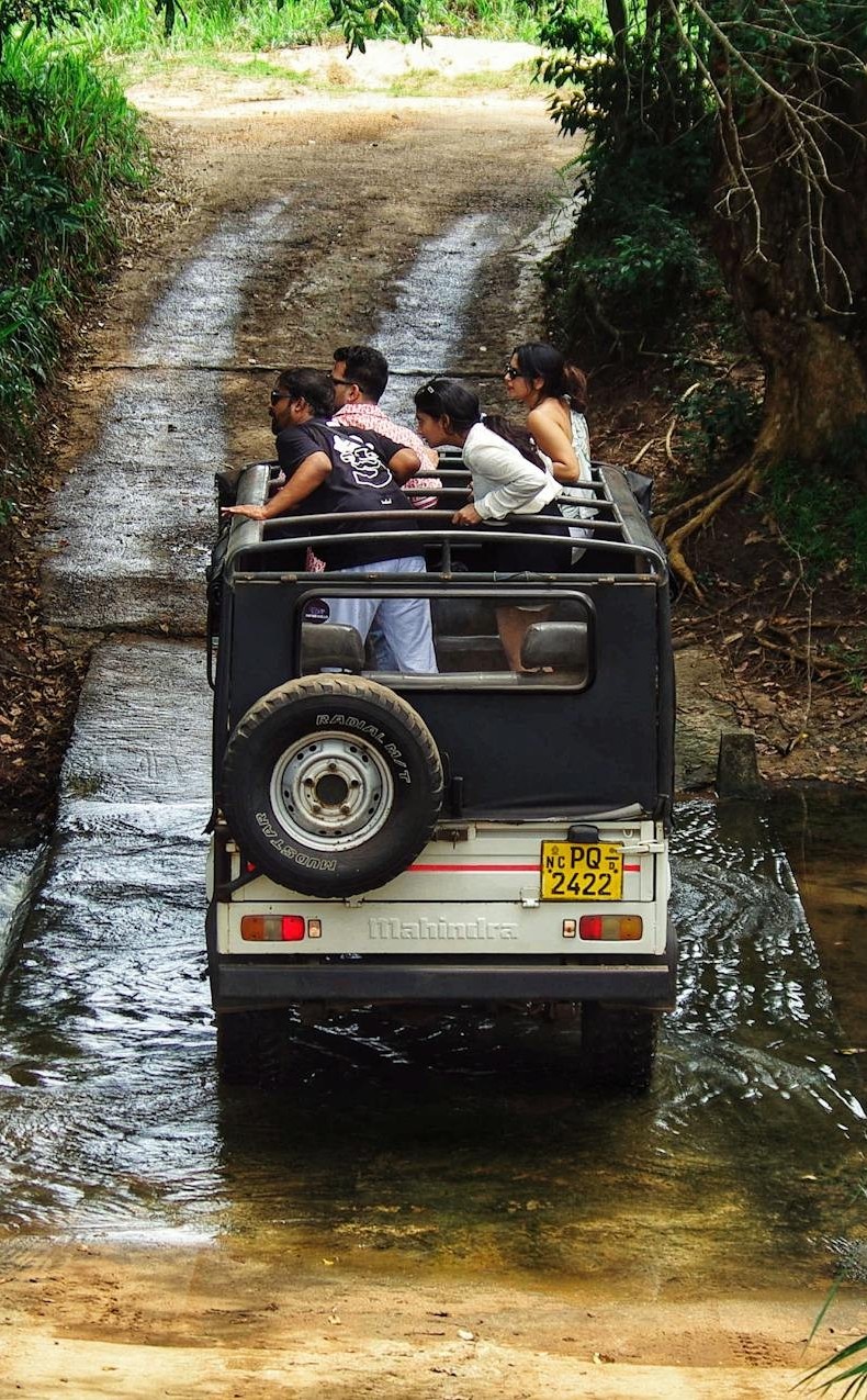 Customized Tour Packages